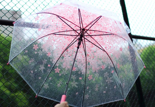 透明拱形樱花雨伞